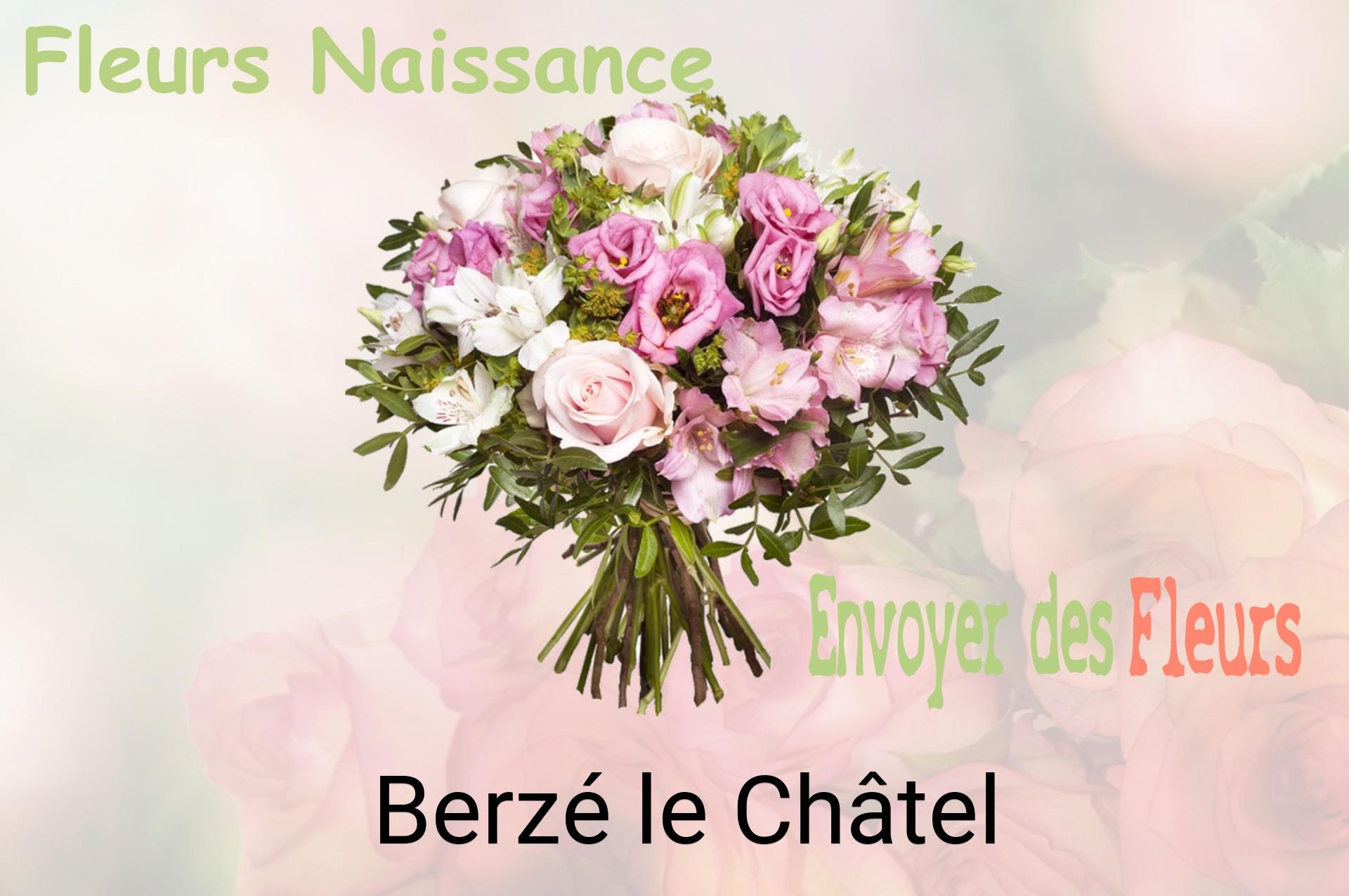 Bouquet de fleurs de naissance livré à Berzé-le-Châtel